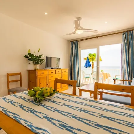 Apartman Vives *